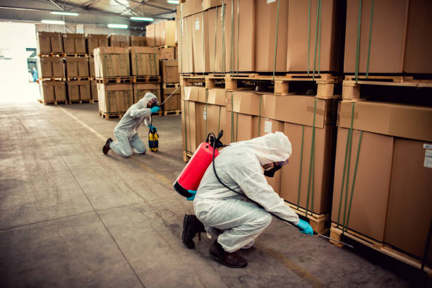 Best Local Pest Control Services  in Winnsboro Mills, SC