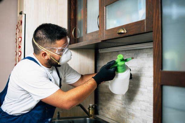 Best Pest Control for Businesses  in Winnsboro Mills, SC