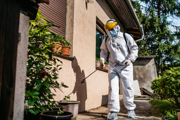 Best Wasp Removal Services  in Winnsboro Mills, SC