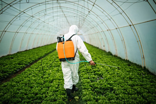 Best Best Pest Control Companies  in Winnsboro Mills, SC