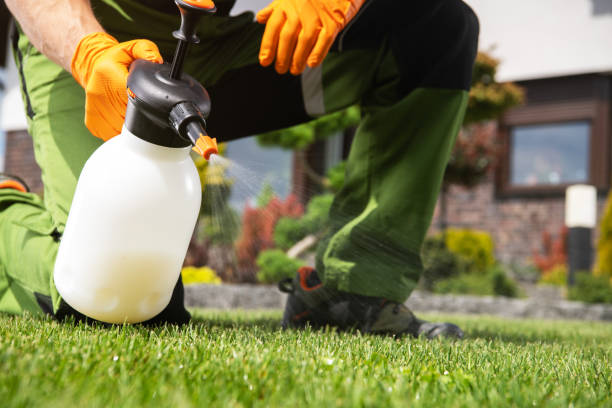 Best Pest Control Near Me in Winnsboro Mills, SC