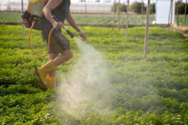 Best Residential Pest Control  in Winnsboro Mills, SC