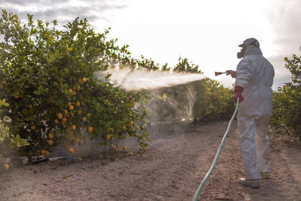 Pest Prevention Services in Winnsboro Mills, SC