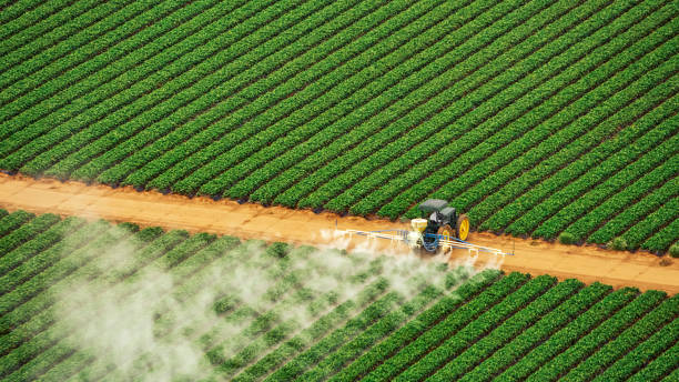 Best Best Pest Control Near Me  in Winnsboro Mills, SC