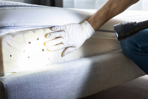 Best Best Pest Control Companies  in Winnsboro Mills, SC