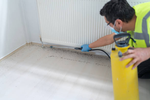 Best Ant Control Services  in Winnsboro Mills, SC